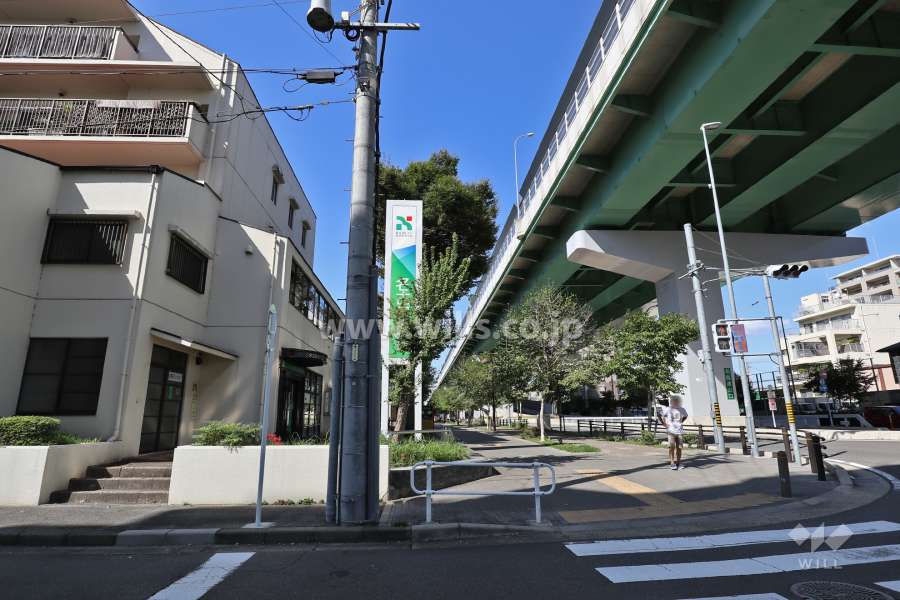 敷地北側の前面道路(東側から)