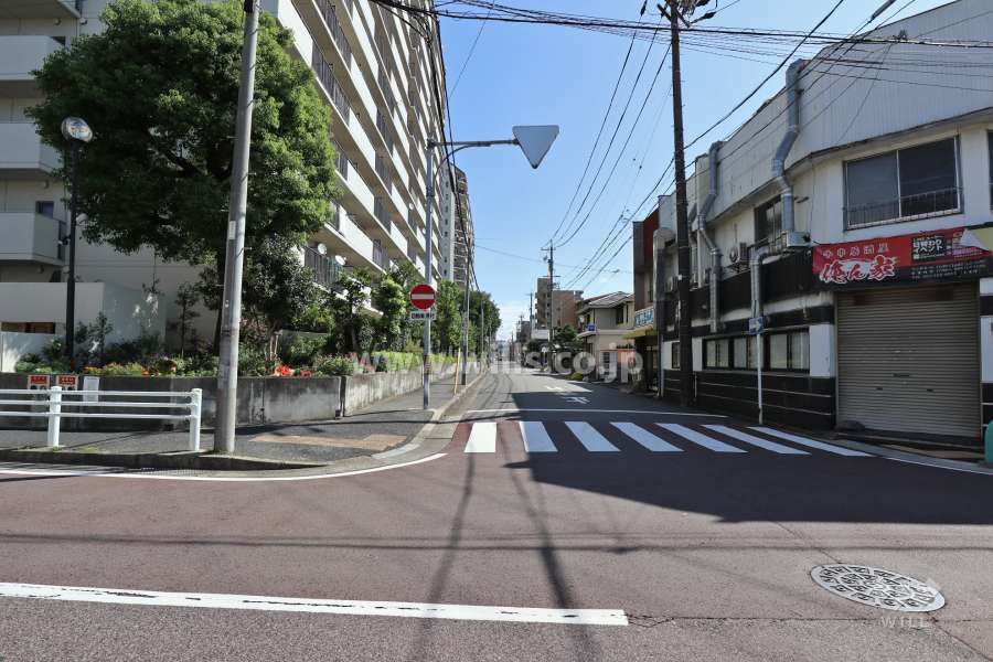 敷地南側の前面道路(西側から)