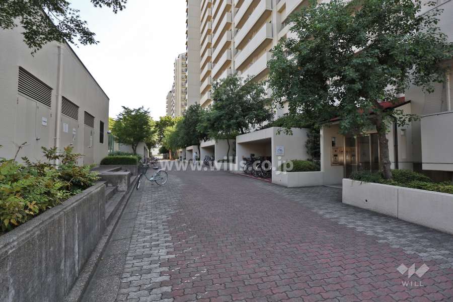 敷地内北側の通路