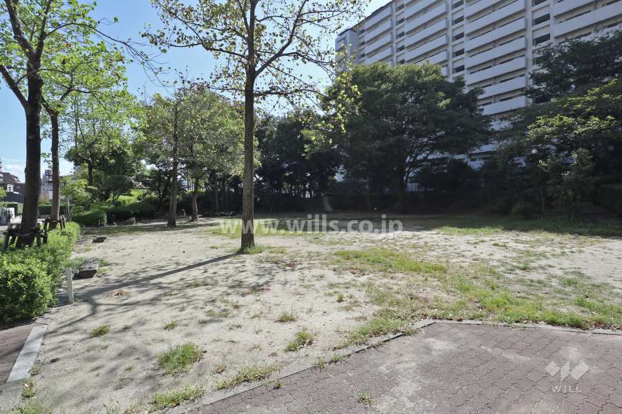 敷地内の広場