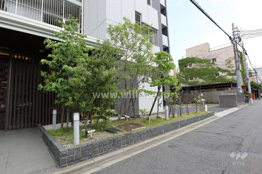 敷地内の各所に植栽スペースが設けられています。