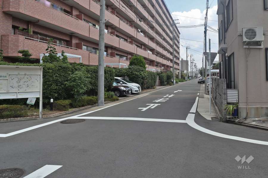 敷地南側の前面道路（西側から）