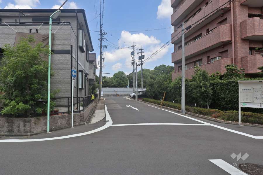 敷地西側の前面道路（南側から）