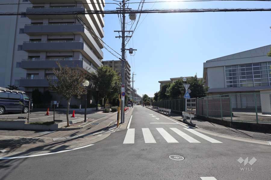 敷地西側の前面道路