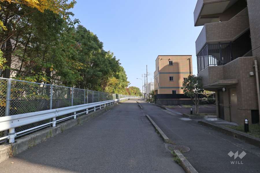 敷地北側の前面道路(西側から)