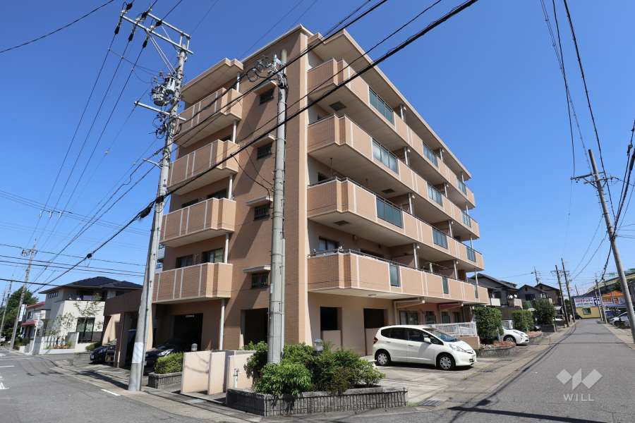 コンセール比良の外観（南西側から）
