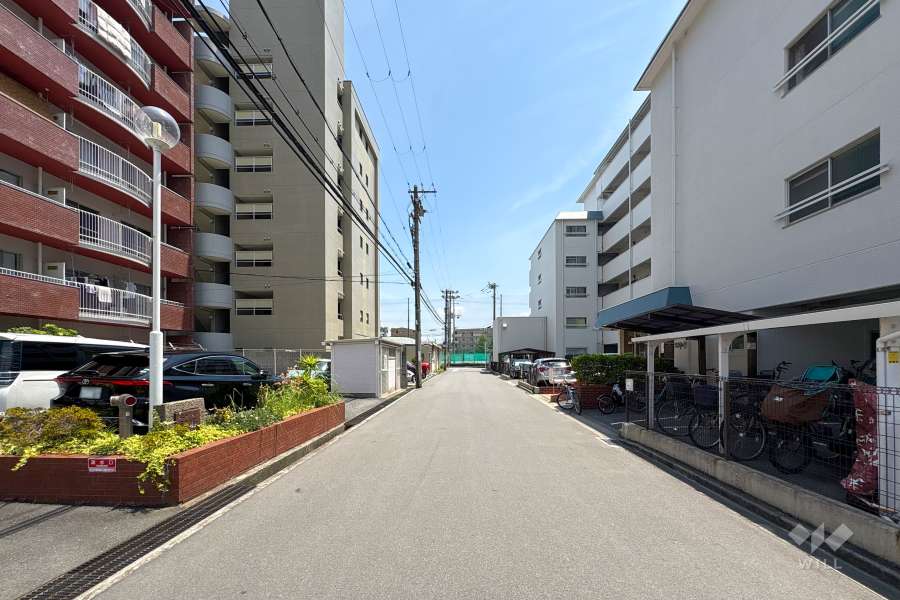 敷地南側の前面道路（西側から）