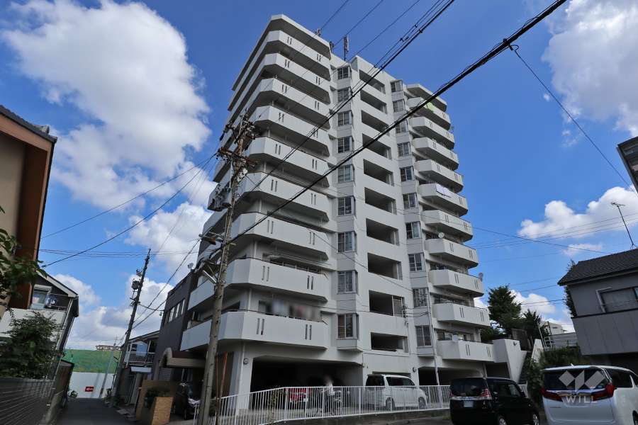 一光ハイツ東枇杷島の外観(南側から)