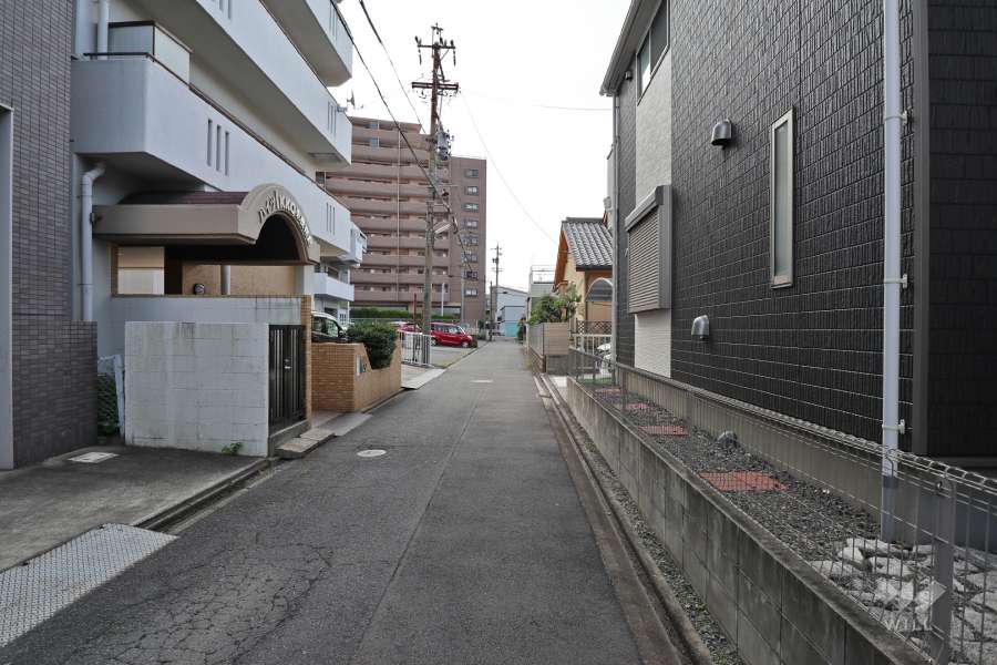 敷地西側の前面道路(北側から)