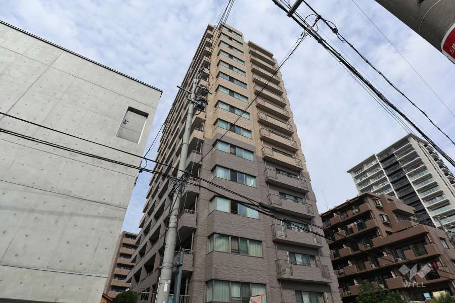 ダイアパレス三の丸西の外観（南東側から）