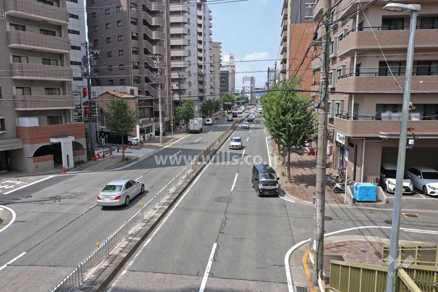 敷地北側の前面道路（北東側の歩道橋から)