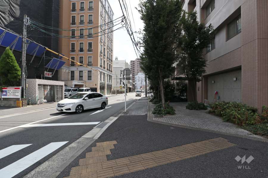 敷地北側の前面道路（西側から）