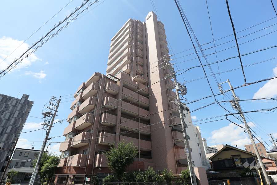 グランコート名西の外観（北東側から）