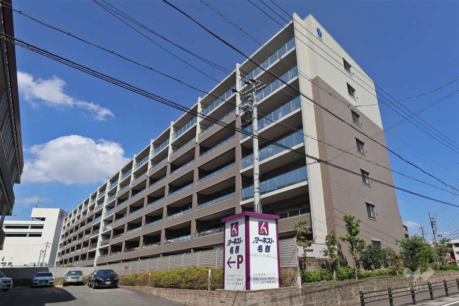 ポレスターセントラルシティ名西弐番館の外観（南東側から）