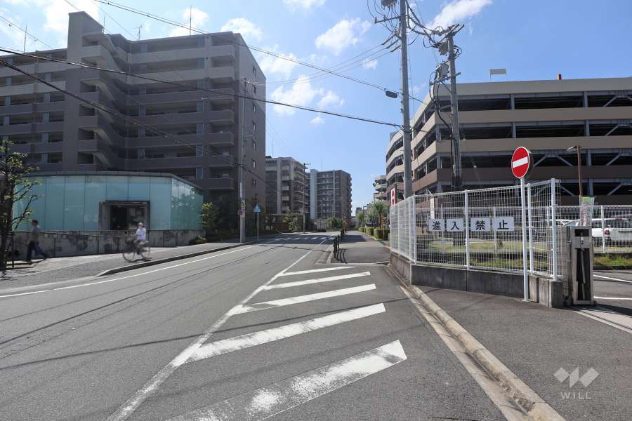 敷地西側の前面道路