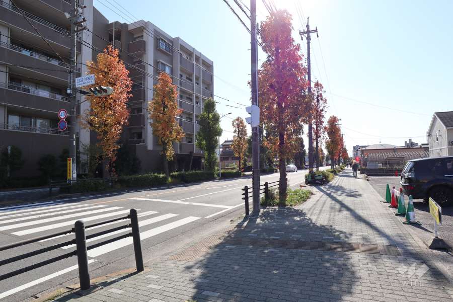 敷地西側の前面道路