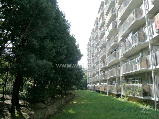 建物の南側の緑地スペース