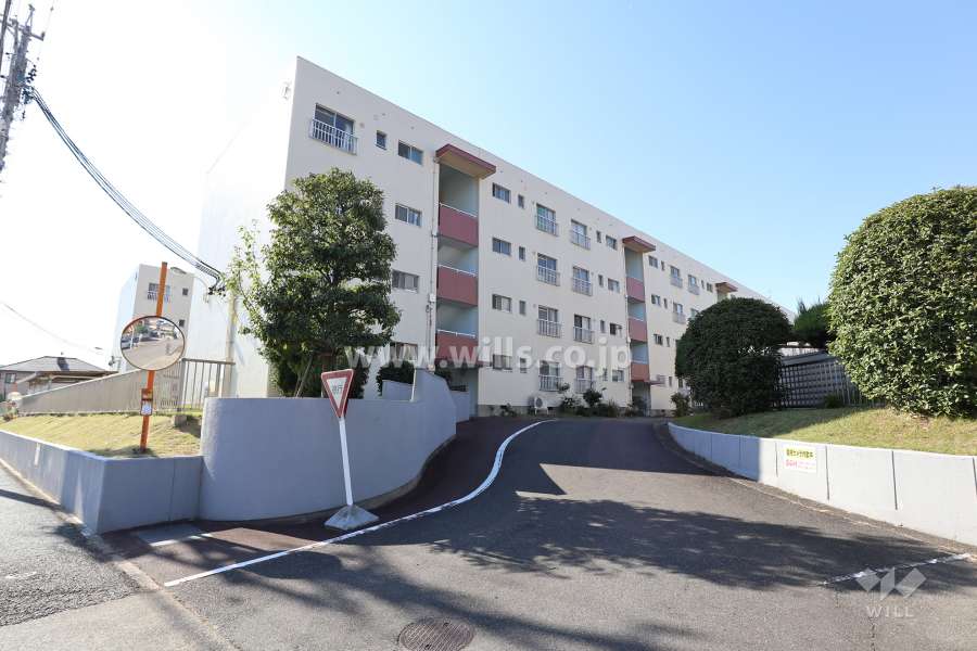 敷地入り口（東側）