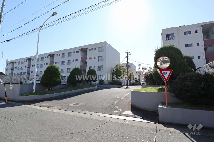 敷地入り口（北側）