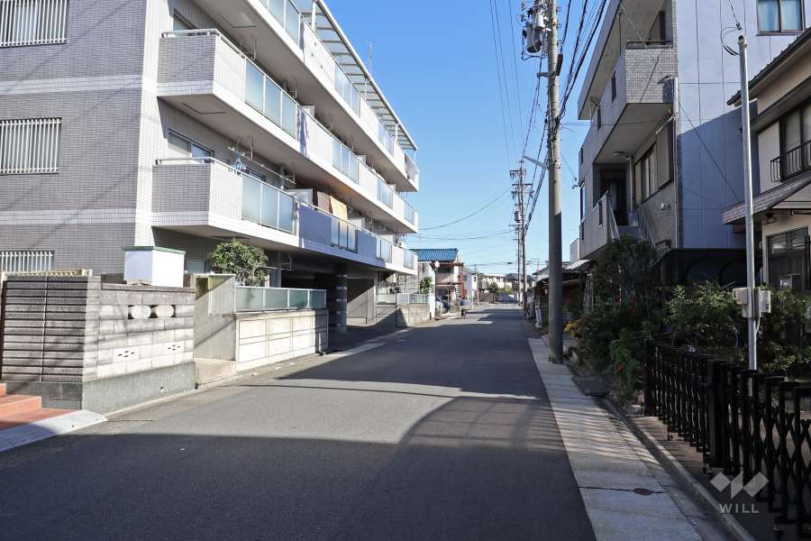 敷地南側の前面道路（西側から）