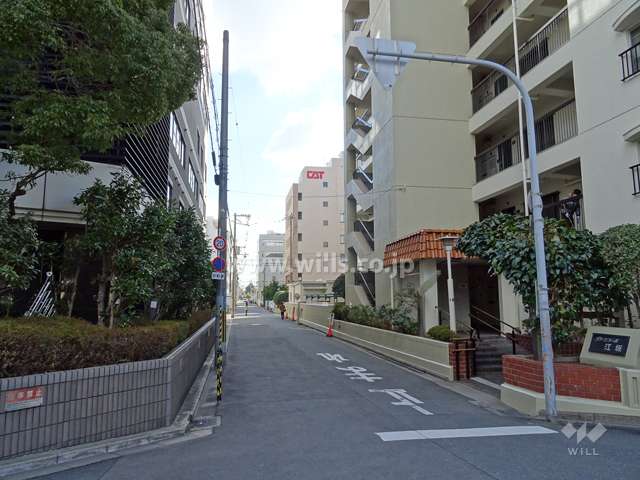 敷地北側の前面道路（西側から）