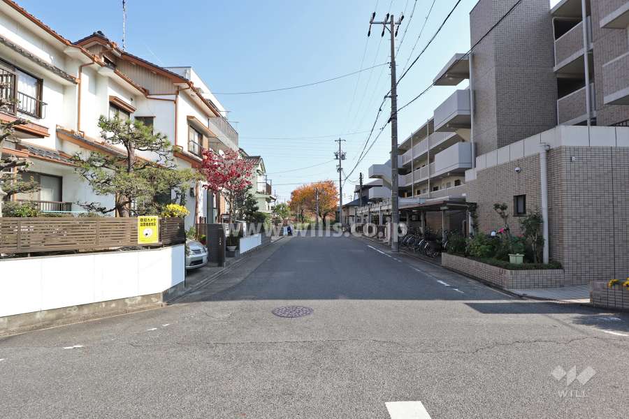 敷地北側の前面道路（西側から）