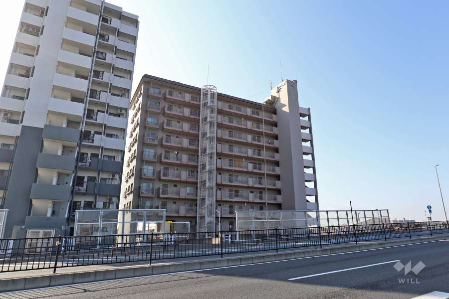 パレス松蔭の外観（北側から）