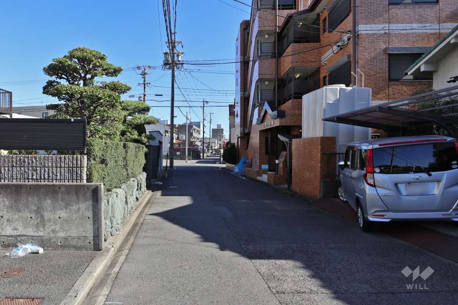 敷地南側の前面道路（西側から）