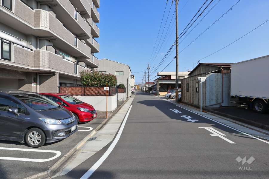 敷地南側の前面道路（西側から）