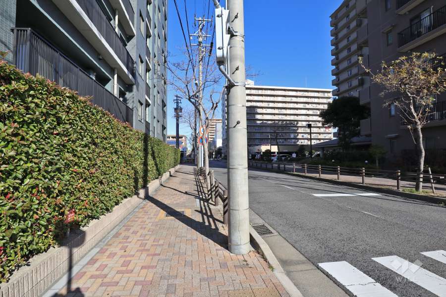 敷地西側の前面道路（南側から）