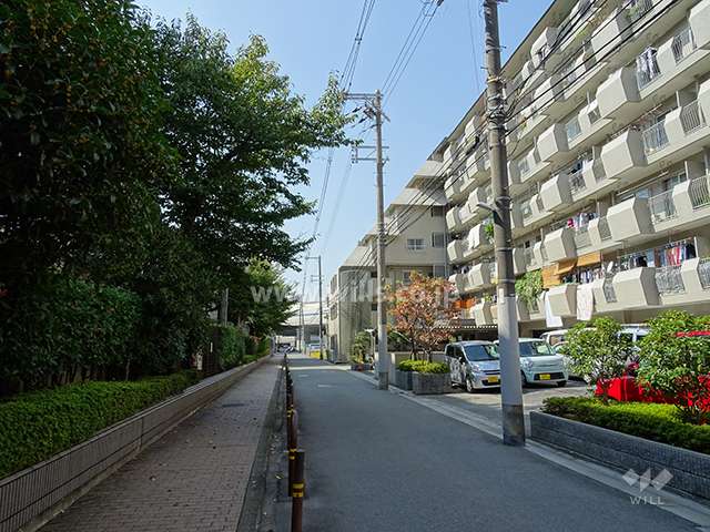 敷地南側の前面道路。敷地の南側には道路を挟んで「豊津第二小学校」があります。