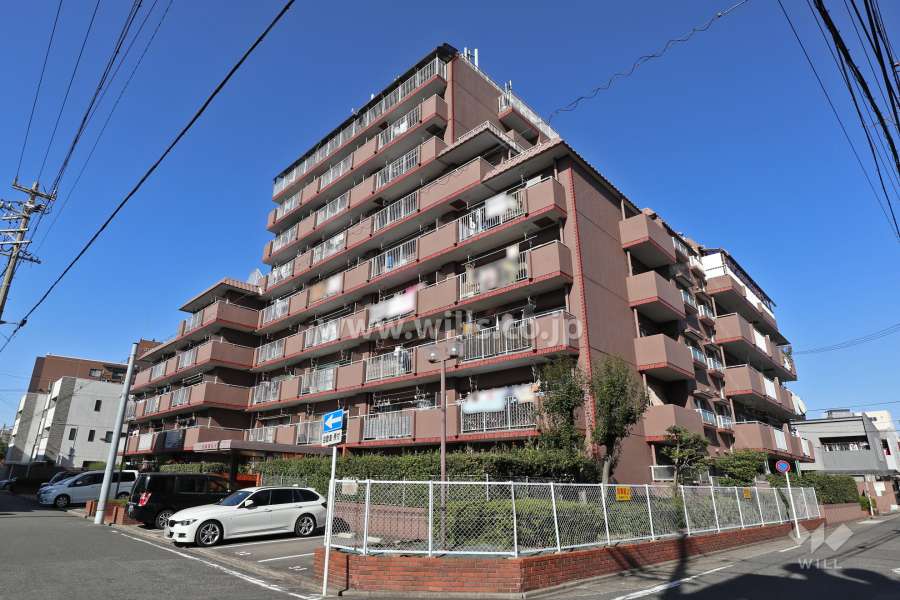 宝露橋ハイツの外観（南側から）