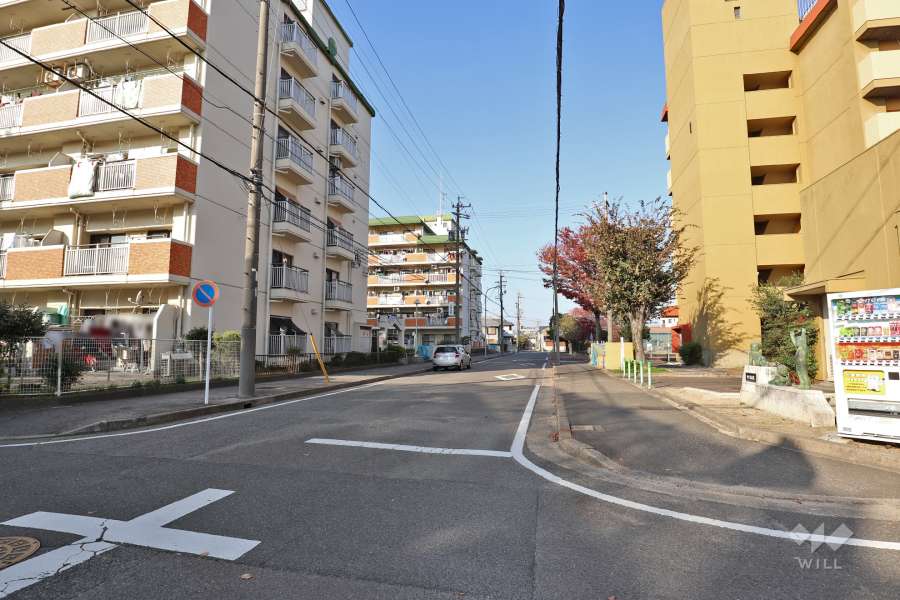 敷地東側の前面道路（南側から）