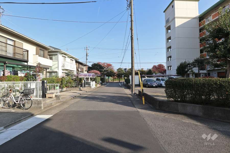 敷地北側の前面道路（西側から）