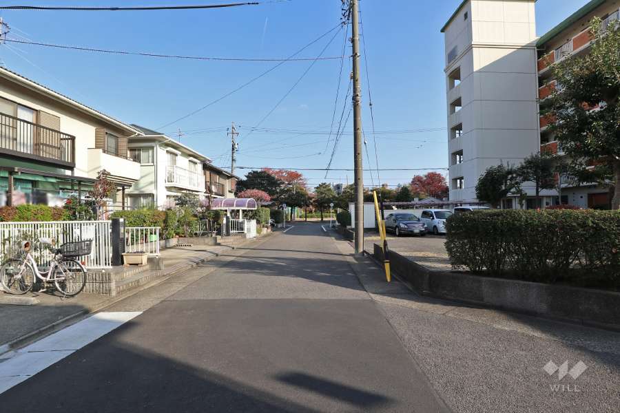 敷地北側の前面道路（西側から）