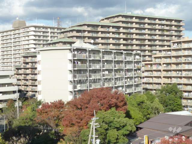 公団江坂住宅７号棟の（南から）