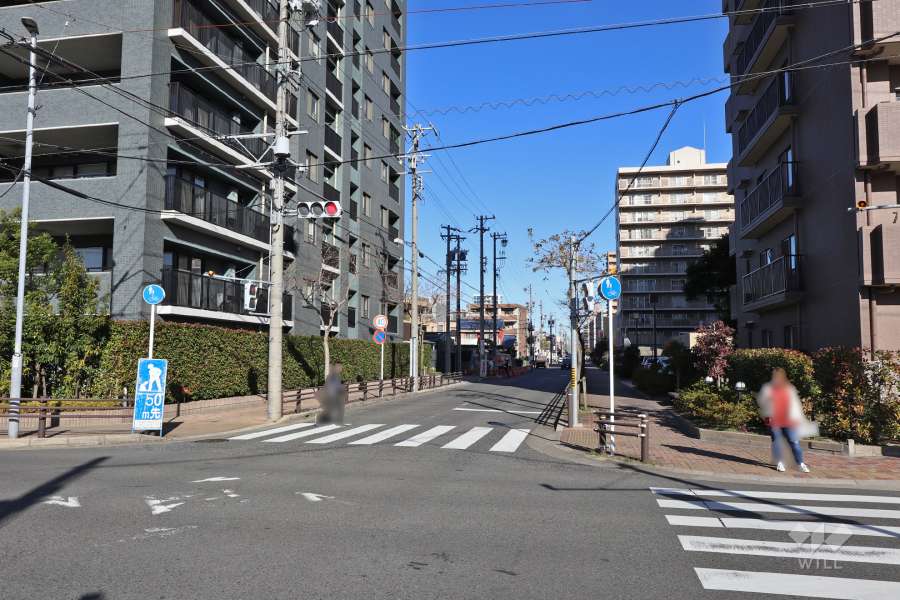 敷地東側の前面道路（南側から）