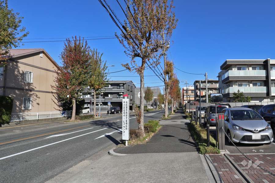 敷地西側にある道路（南側から）