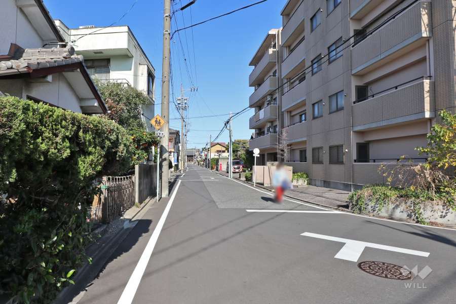 敷地西側の前面道路（南側から）