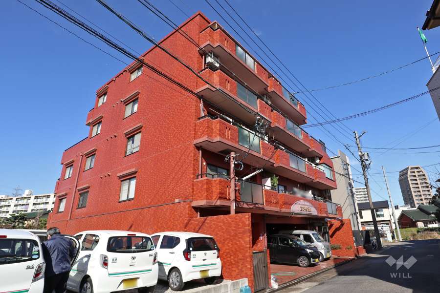 セザール高畑の外観（南側から）