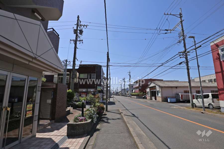 敷地北側の側前面道路(東側から)