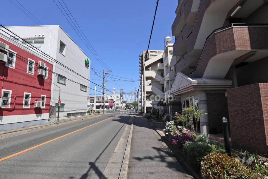 敷地北側の前面道路(西側から)