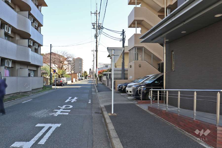 敷地北側の前面道路（西側から）
