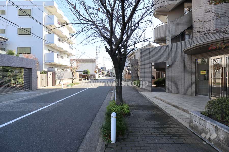 敷地北側の前面道路