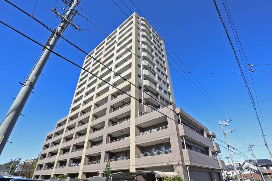 ダイアパレス細米グランステージの外観（南東側から）