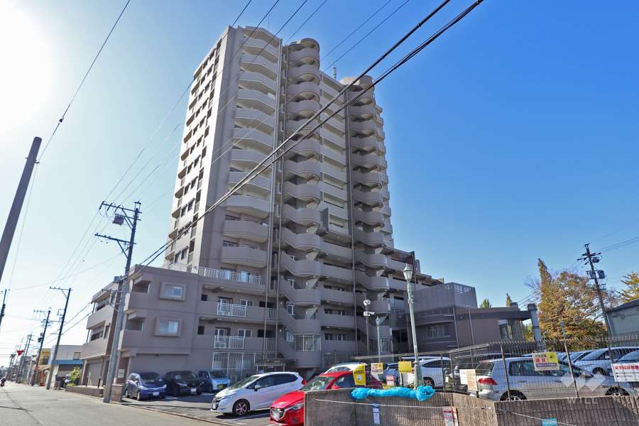 ダイアパレス細米グランステージの外観（北側から）