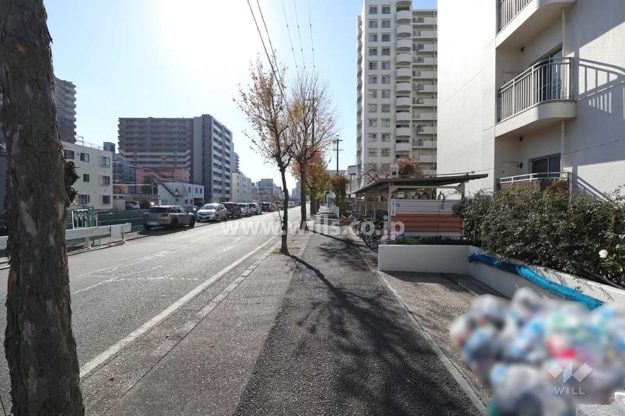 敷地東側の前面道路