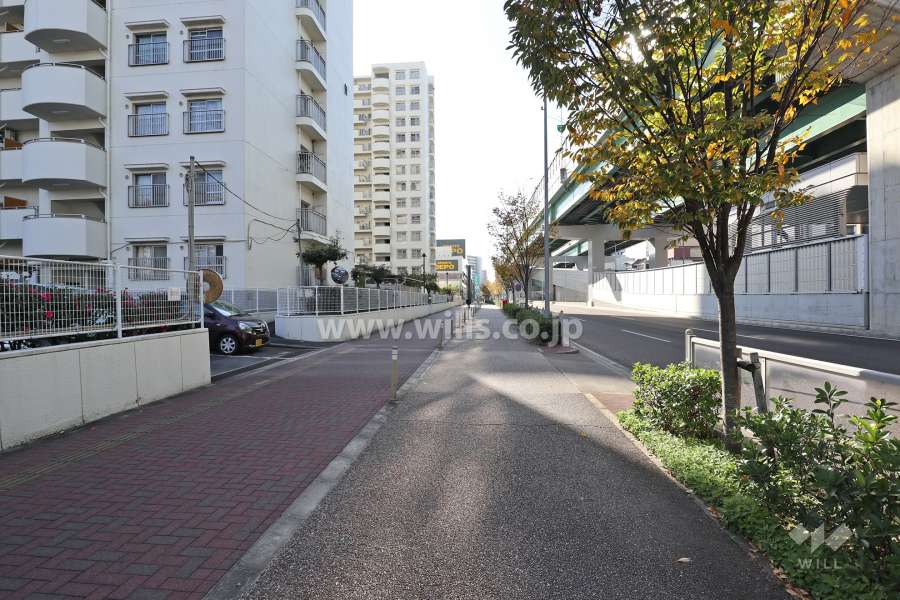 敷地西側には、片側三車線の幹線道路が通っています。（江川線）