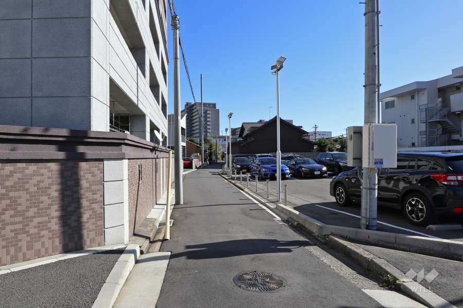 敷地南側の前面道路（西側から）