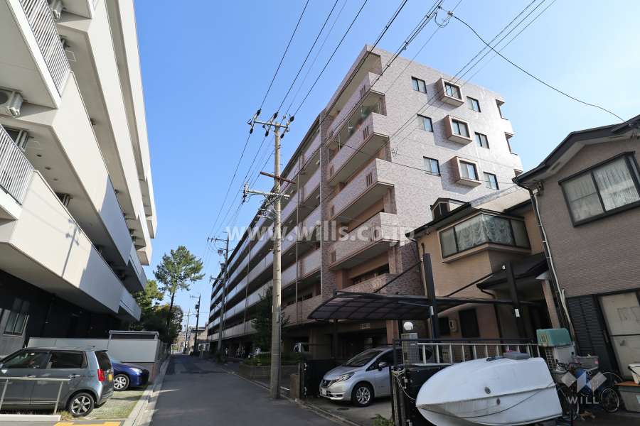 敷地北側の前面道路。